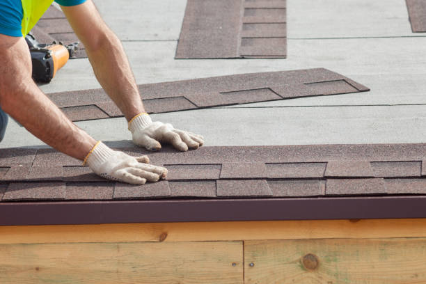Best Skylight Installation and Repair  in North Star, DE